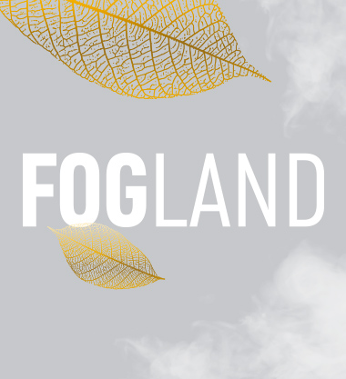 Разработка бренда FOGLAND        