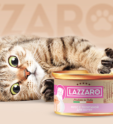Консервы для кошек LAZZARO        